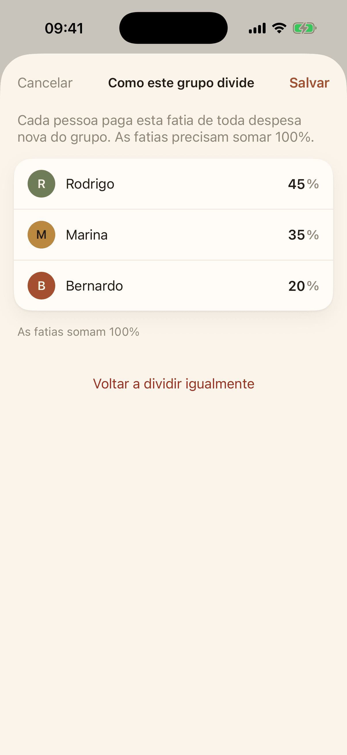 Tela de proporção do grupo, com a fatia de cada pessoa em por cento.